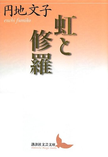 虹と修羅 (講談社文芸文庫) Books