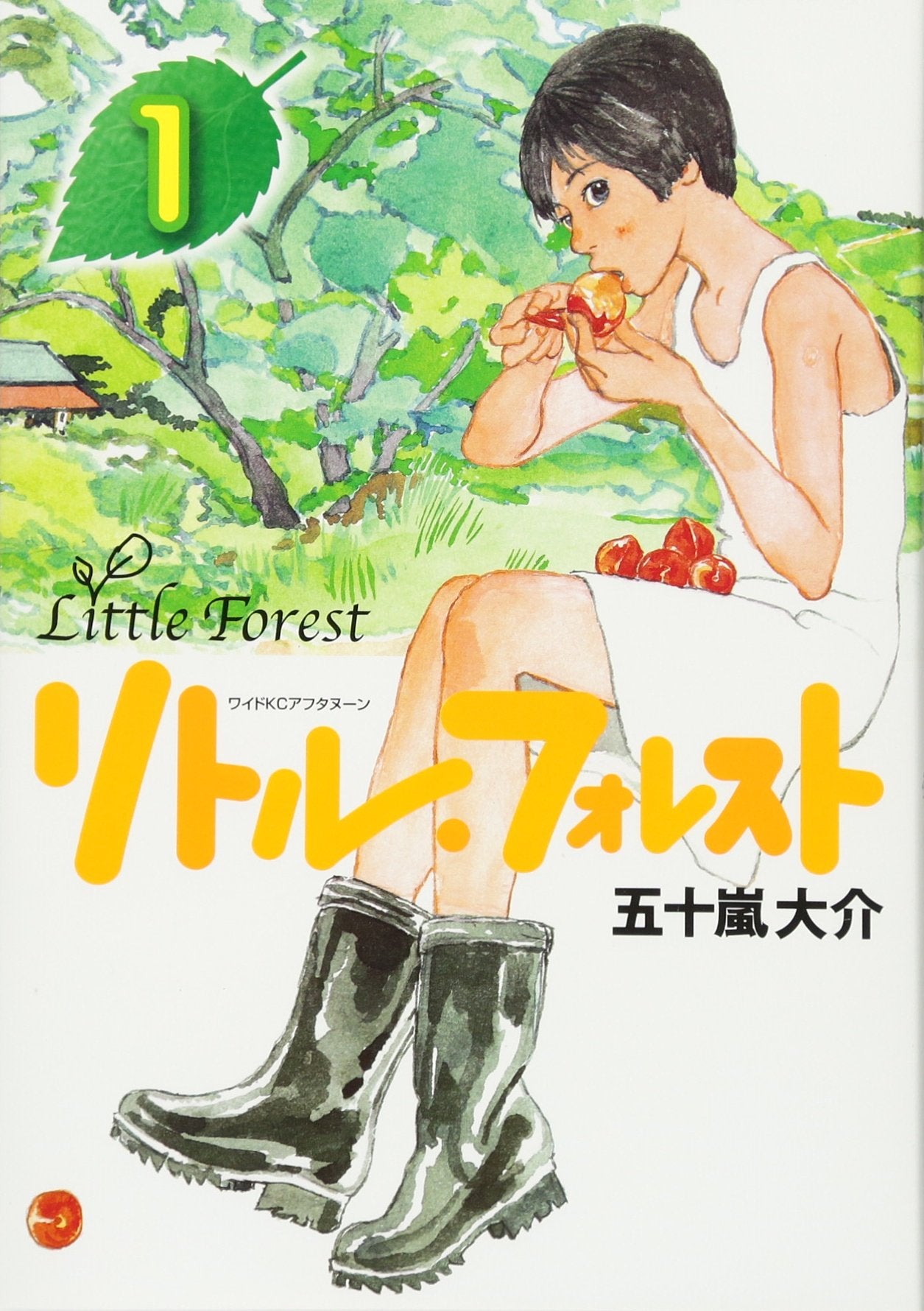 Little Forest (1) (Wide KC afternoon (551)) (2004) ISBN: 406337551X Books