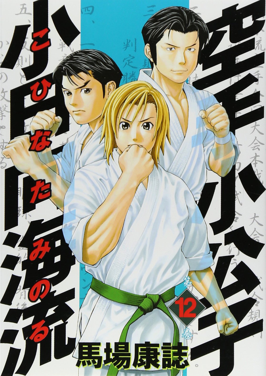 Karate Minoru Kohinata 12 Books
