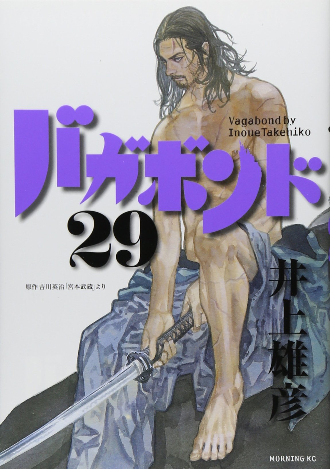 Vagabond Volume 29 (in Japanese) Books