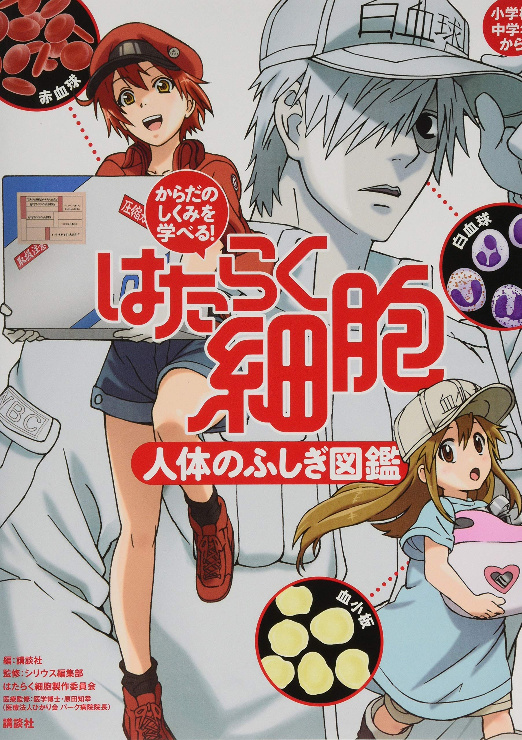 からだのしくみを学べる! はたらく細胞 人体のふしぎ図鑑 Books