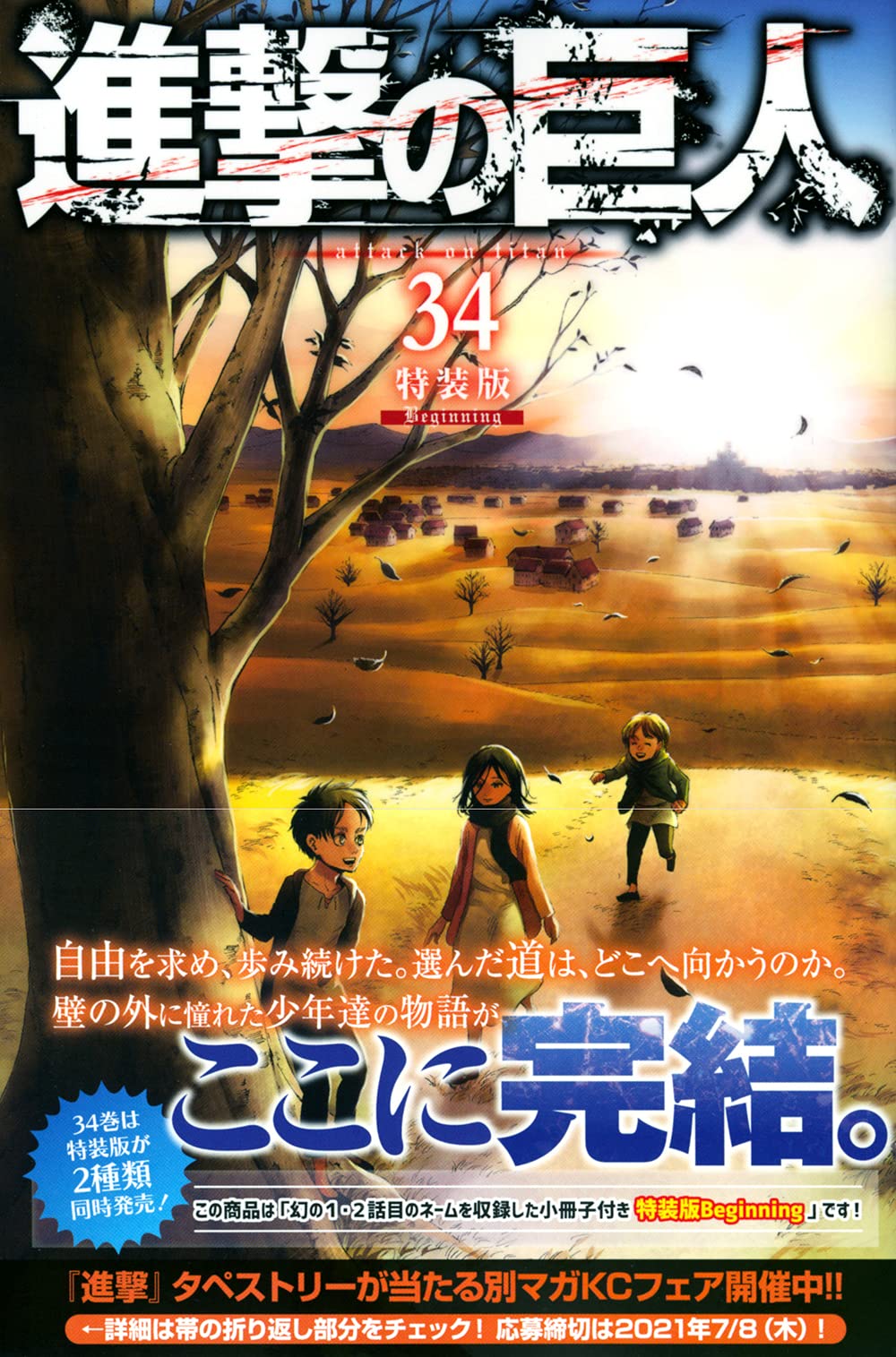 L'ATTAQUE DES TITANS 34 ÉDITION LIMITÉE (VO JAPONAIS) book