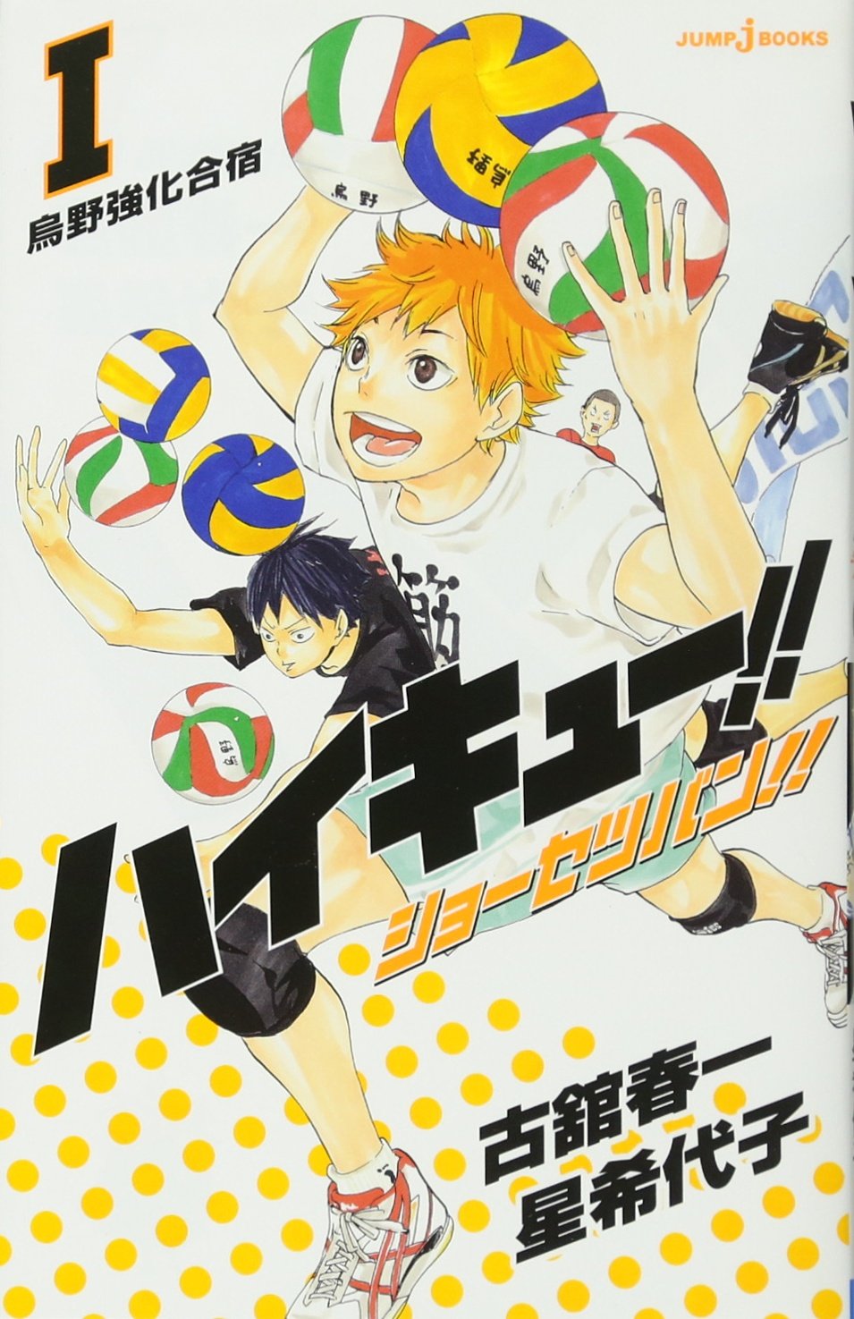 HAIKYU!! SHÔSETSUBAN!! 1 - LIGHT NOVEL (VO JAPONAIS) book