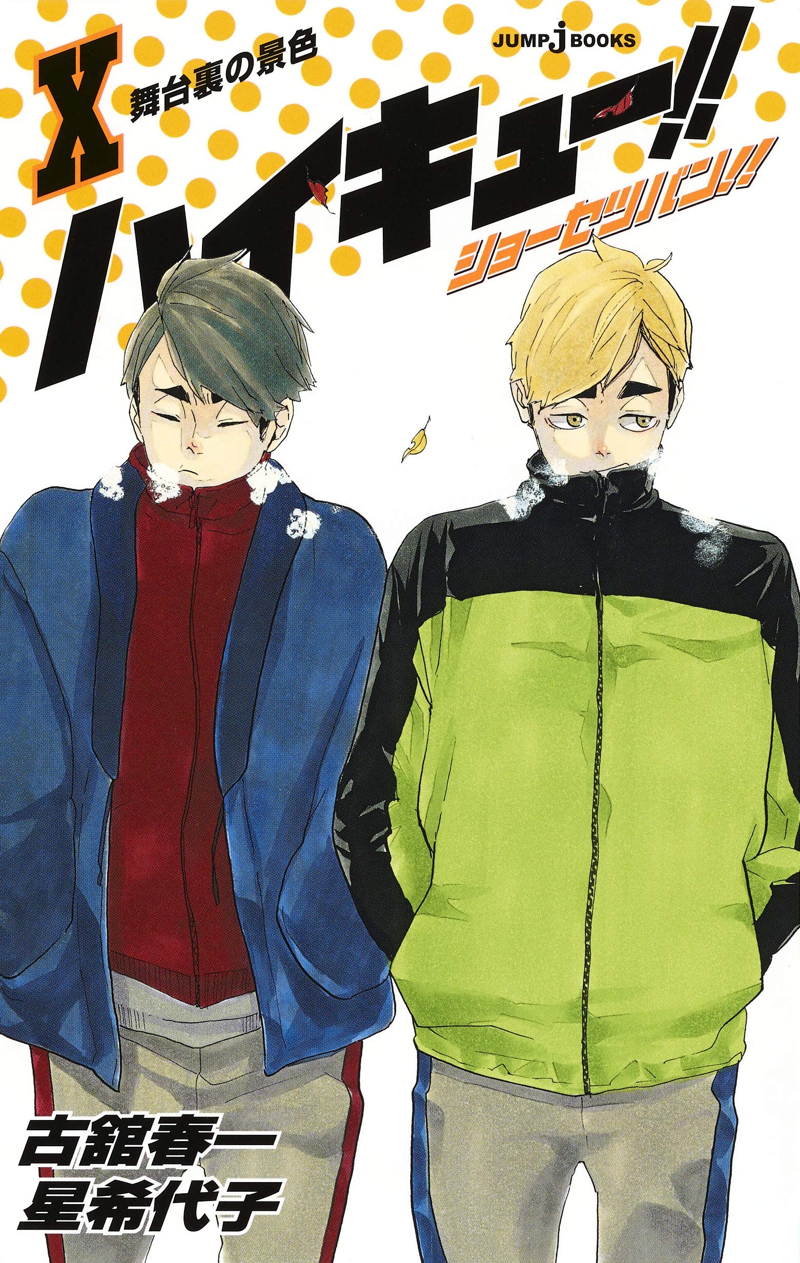 ハイキュー!! ショーセツバン!! 10 (JUMP j BOOKS) Books