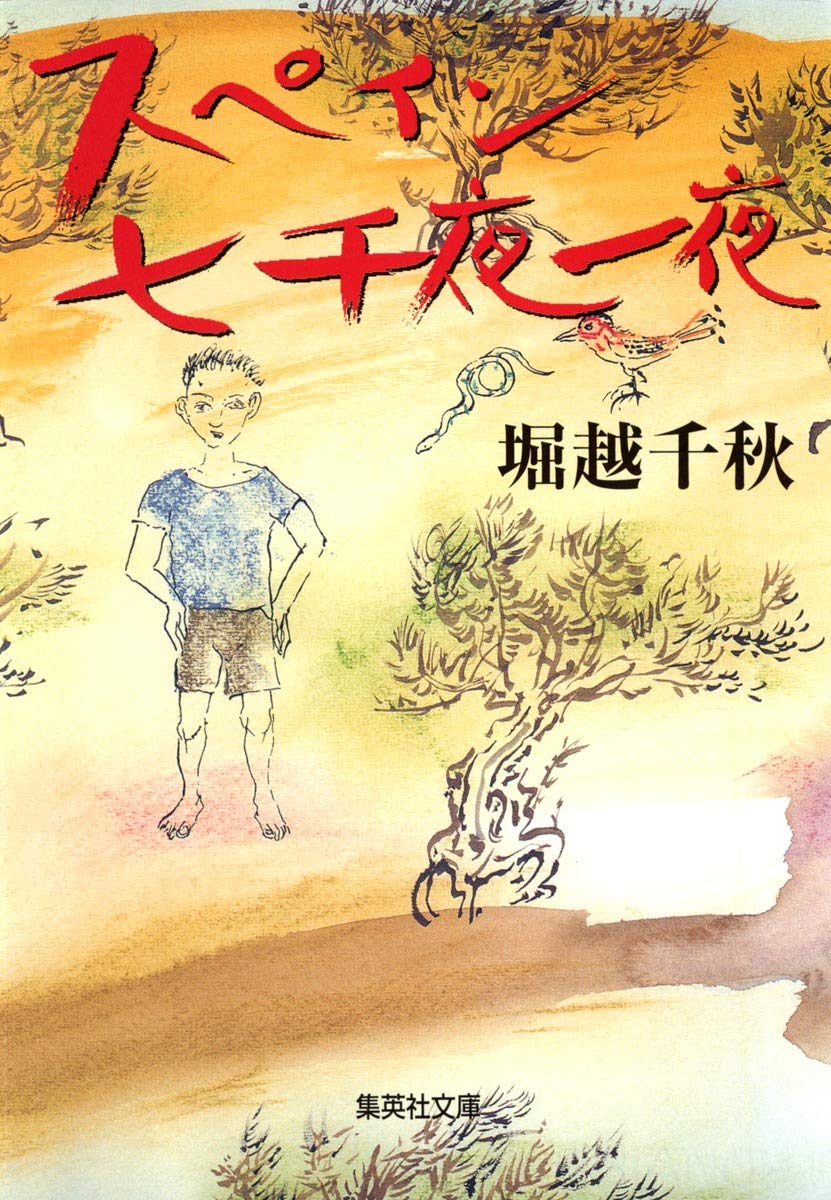 スペイン七千夜一夜 (集英社文庫) book