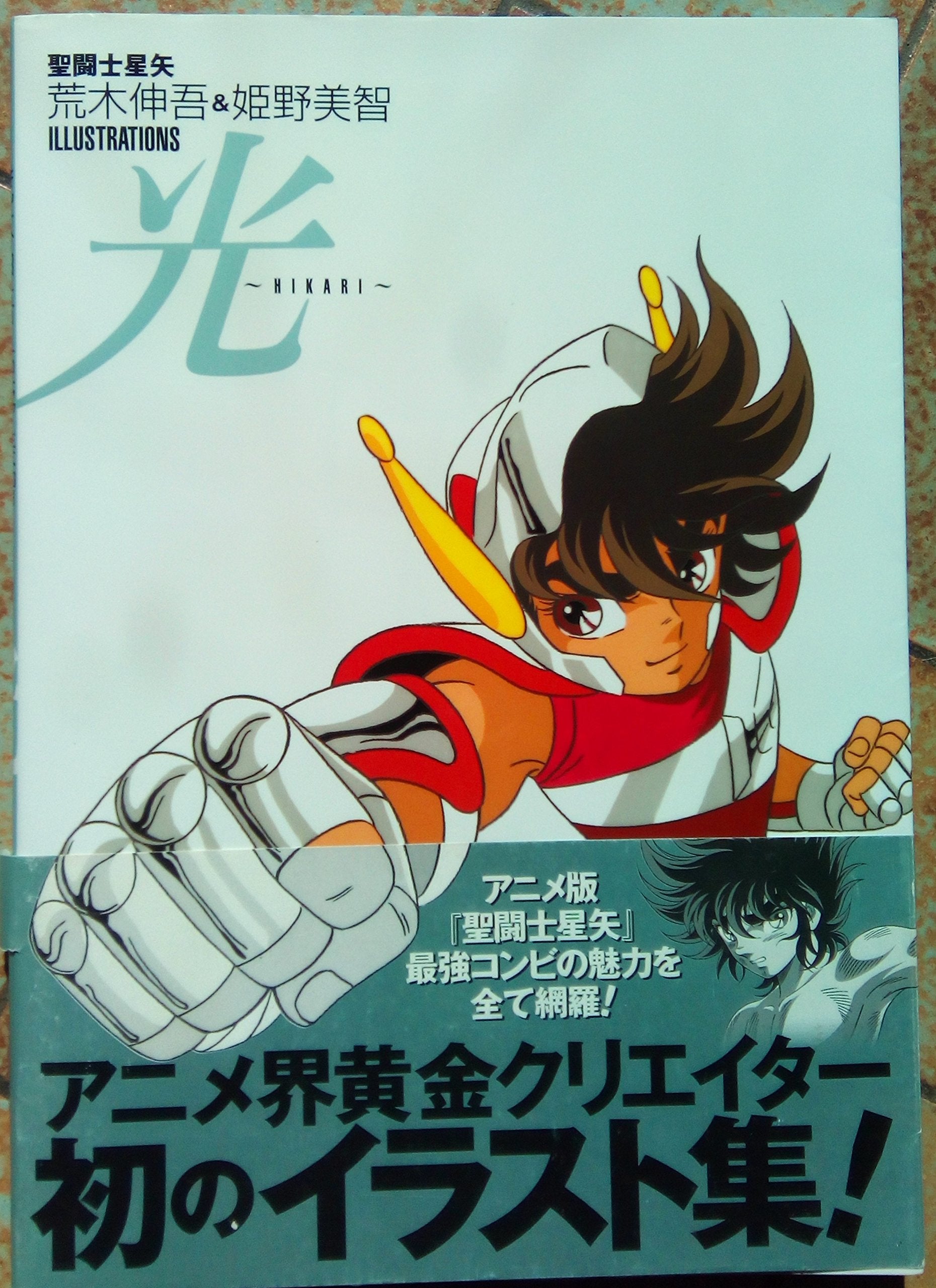 光~HIKARI~―聖闘士星矢荒木伸吾&姫野美智ILLUSTRATIONS book