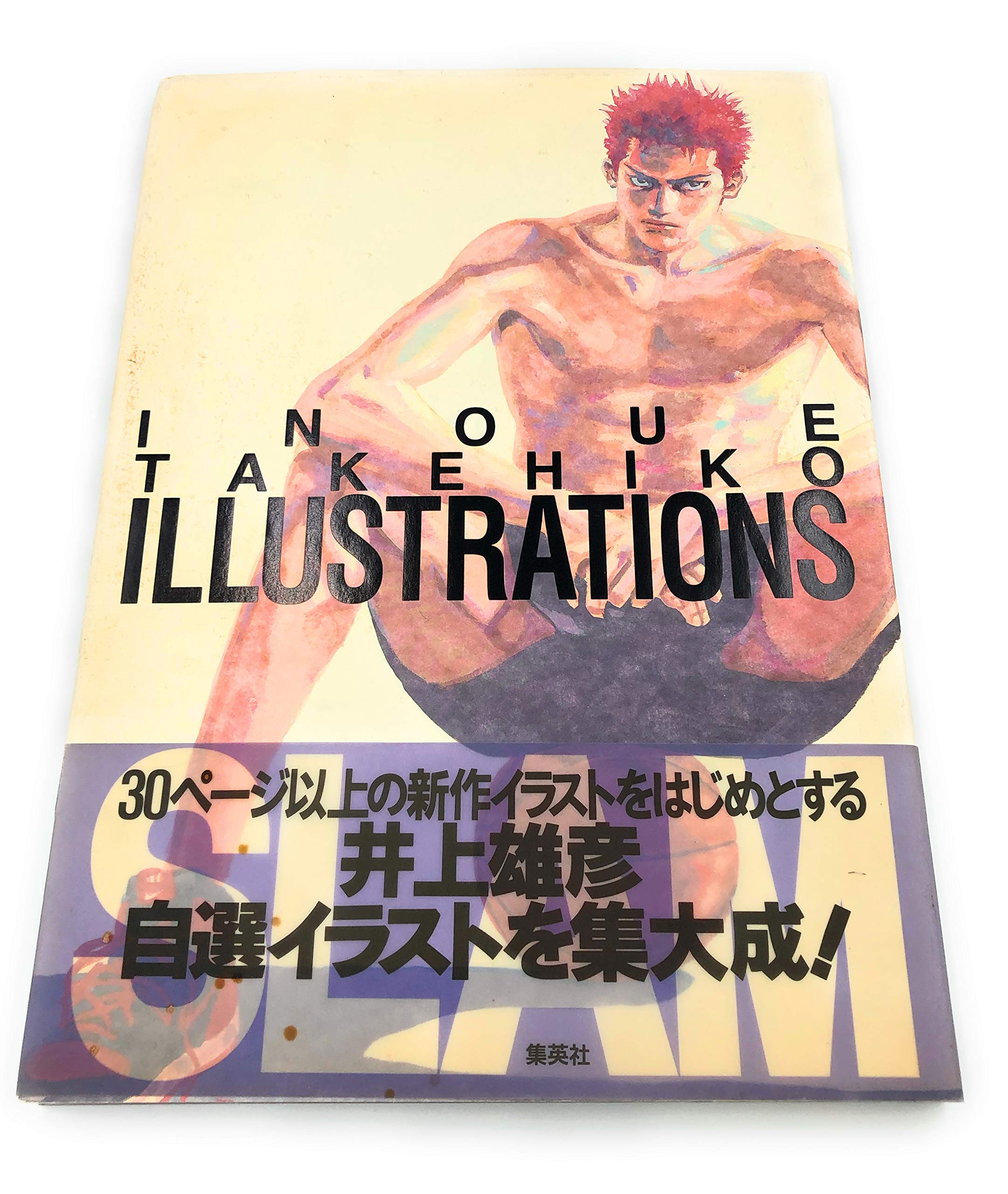 INOUE TAKEHIKO ILLUSTRATIONS (ARTBOOK VO JAPONAIS) (46ème Réimpression en 2022) Books