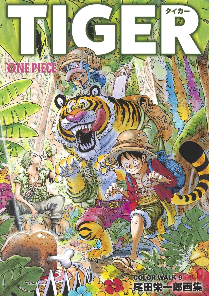 ONEPIECEイラスト集 COLORWALK 9 TIGER (愛蔵版コミックス) Books