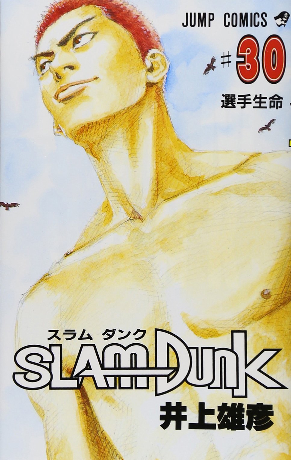 SLAM DUNK 30 Books