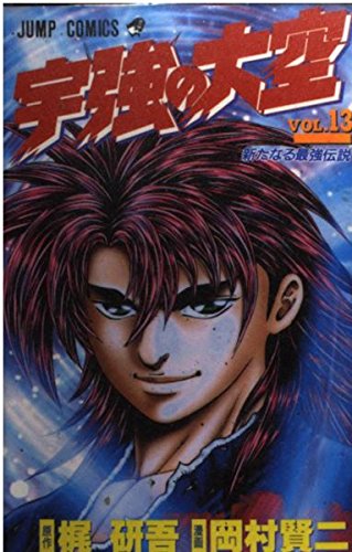 宇強の大空 13 新たなる最強伝説 (ジャンプコミックス) Books