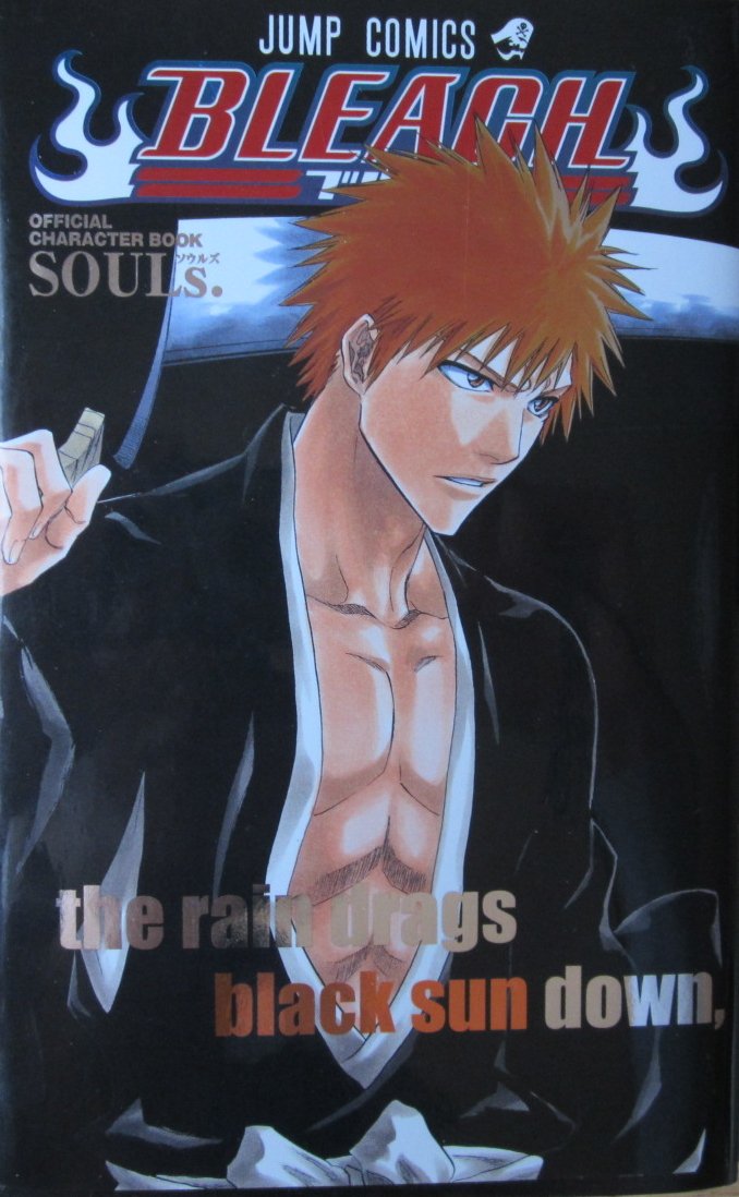 BLEACH_ƒuƒŠ[ƒ`_@OFFICIAL@CHARACTER@BOOK@SOULsD Books
