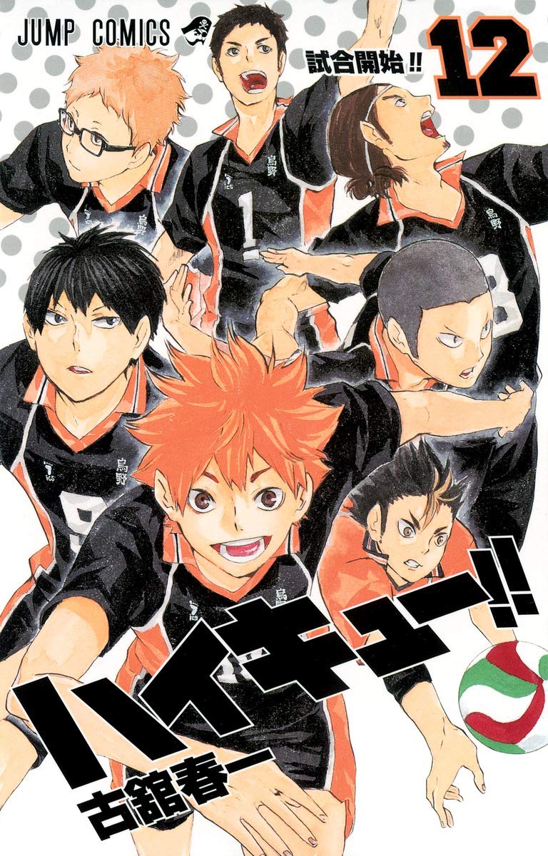Product Image: Haikyu!! 12