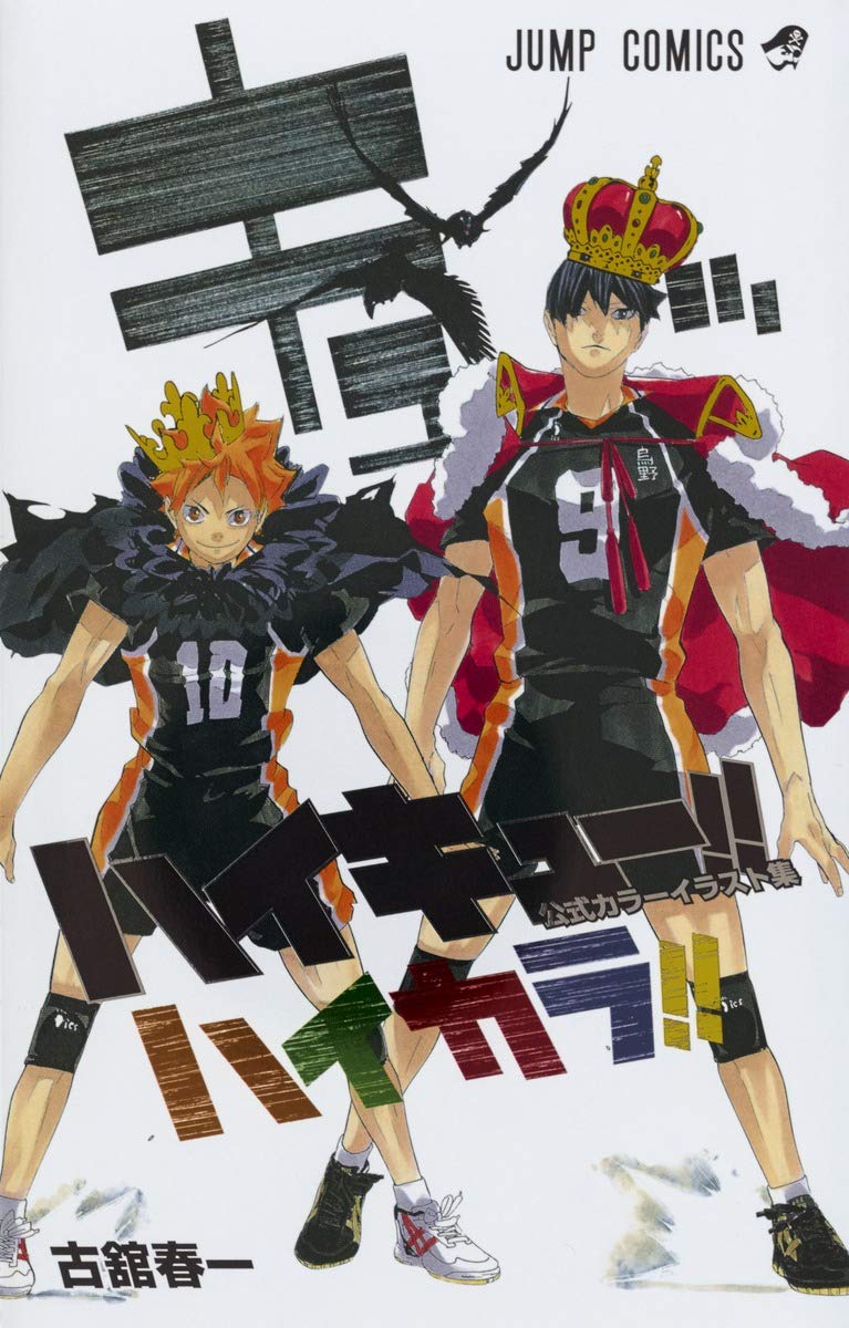 HAIKYU!! COLOR ILLUSTRATIONS (ARTBOOK VO JAPONAIS) Books