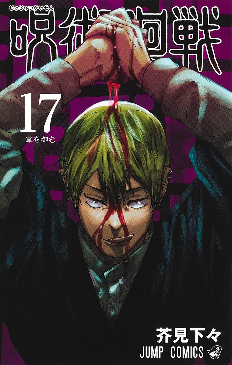 Jujutsu Kaisen 17 Fiction
