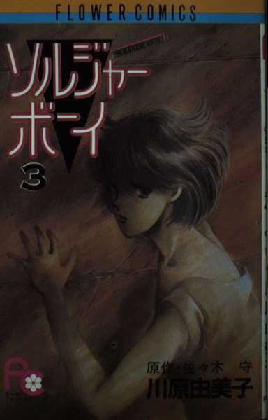 ソルジャーボーイ 3 (フラワーコミックス) Books
