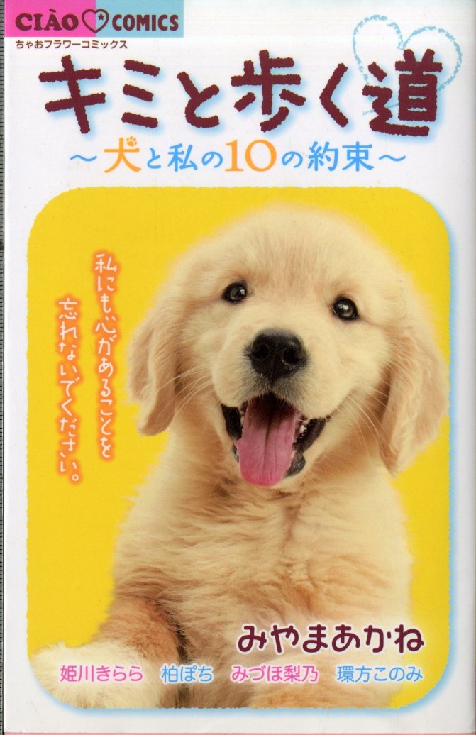 Way to walk with you - promise of 10 and my dog ??(Chao Flower Comics) (2008) ISBN: 4091320287 Books