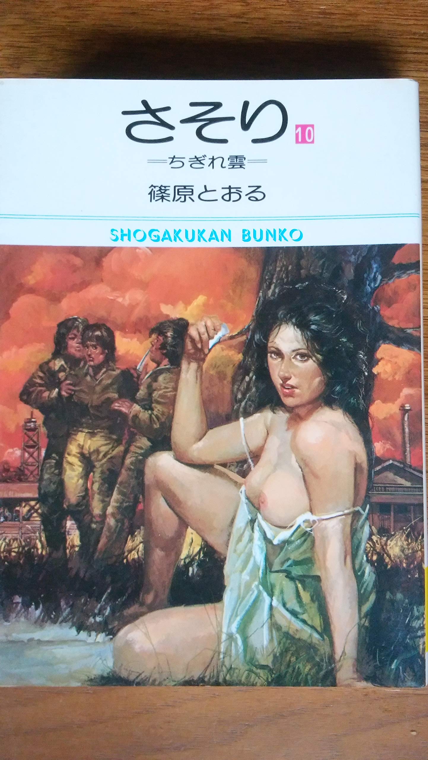 さそり 10 (小学館文庫) Books