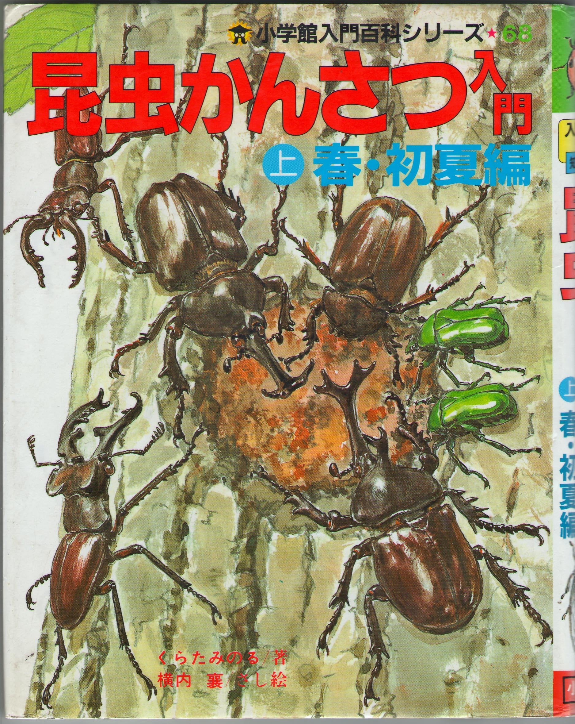 昆虫かんさつ入門 (上)春・初夏編 (小学館入門百科シリーズ (68)) Books