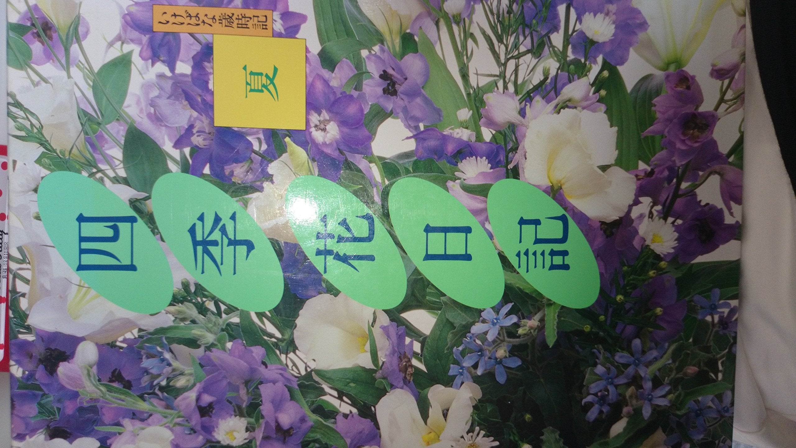 夏 (四季 花日記―いけばな歳時記) Books
