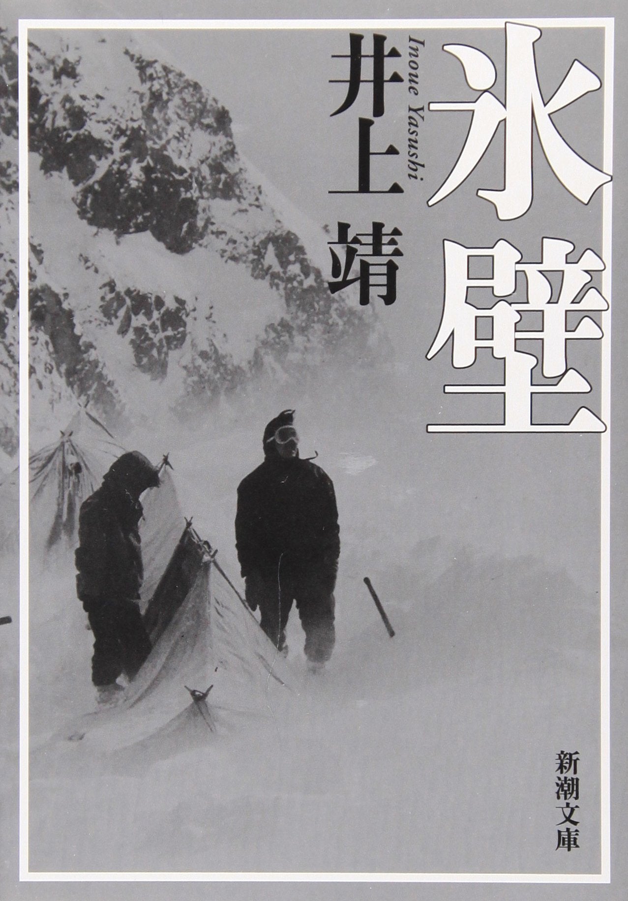 氷壁 (新潮文庫) Books