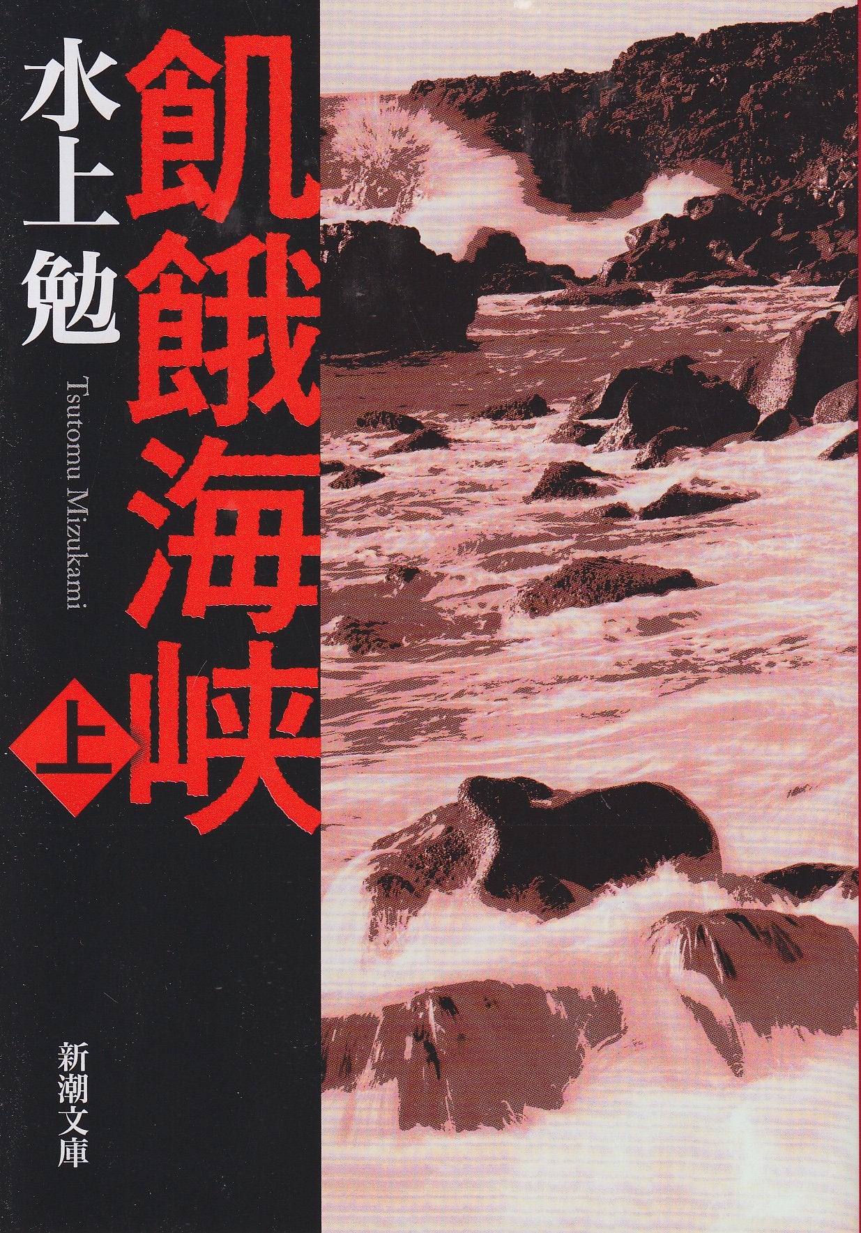 飢餓海峡 (上巻) (新潮文庫) Books