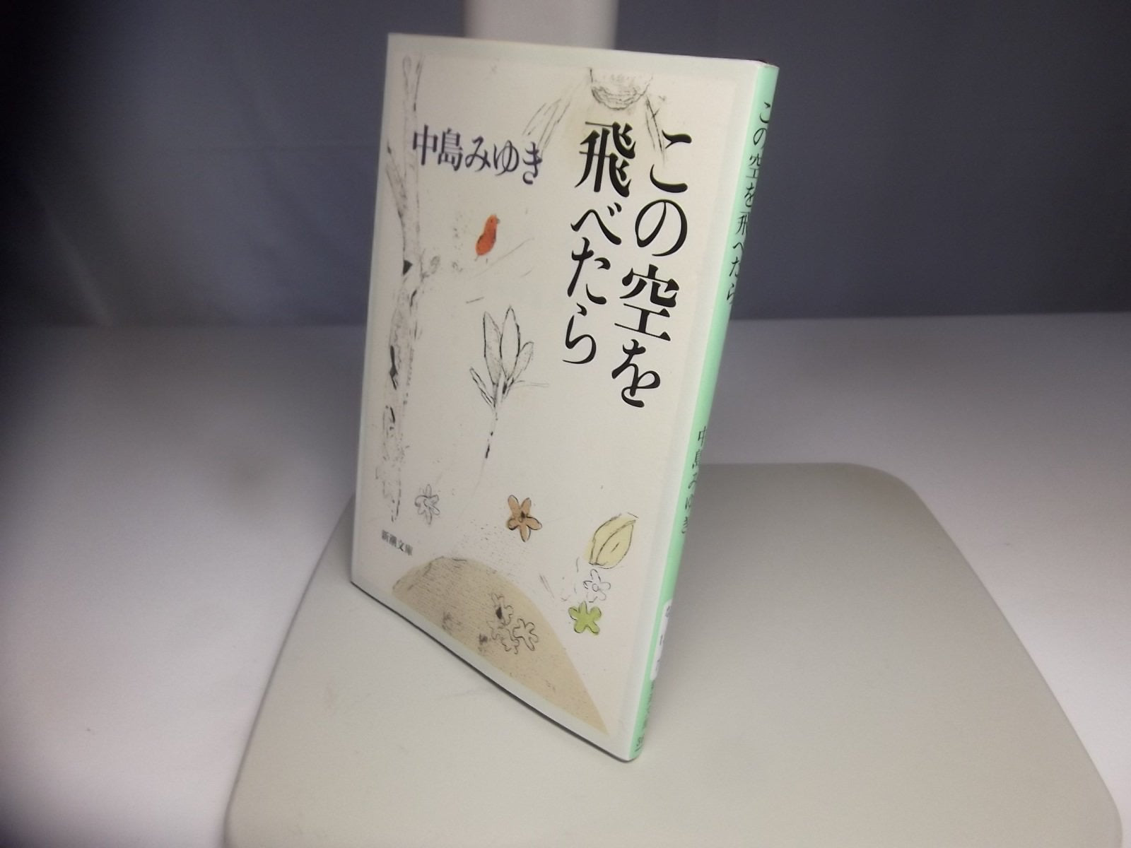 この空を飛べたら (新潮文庫) book