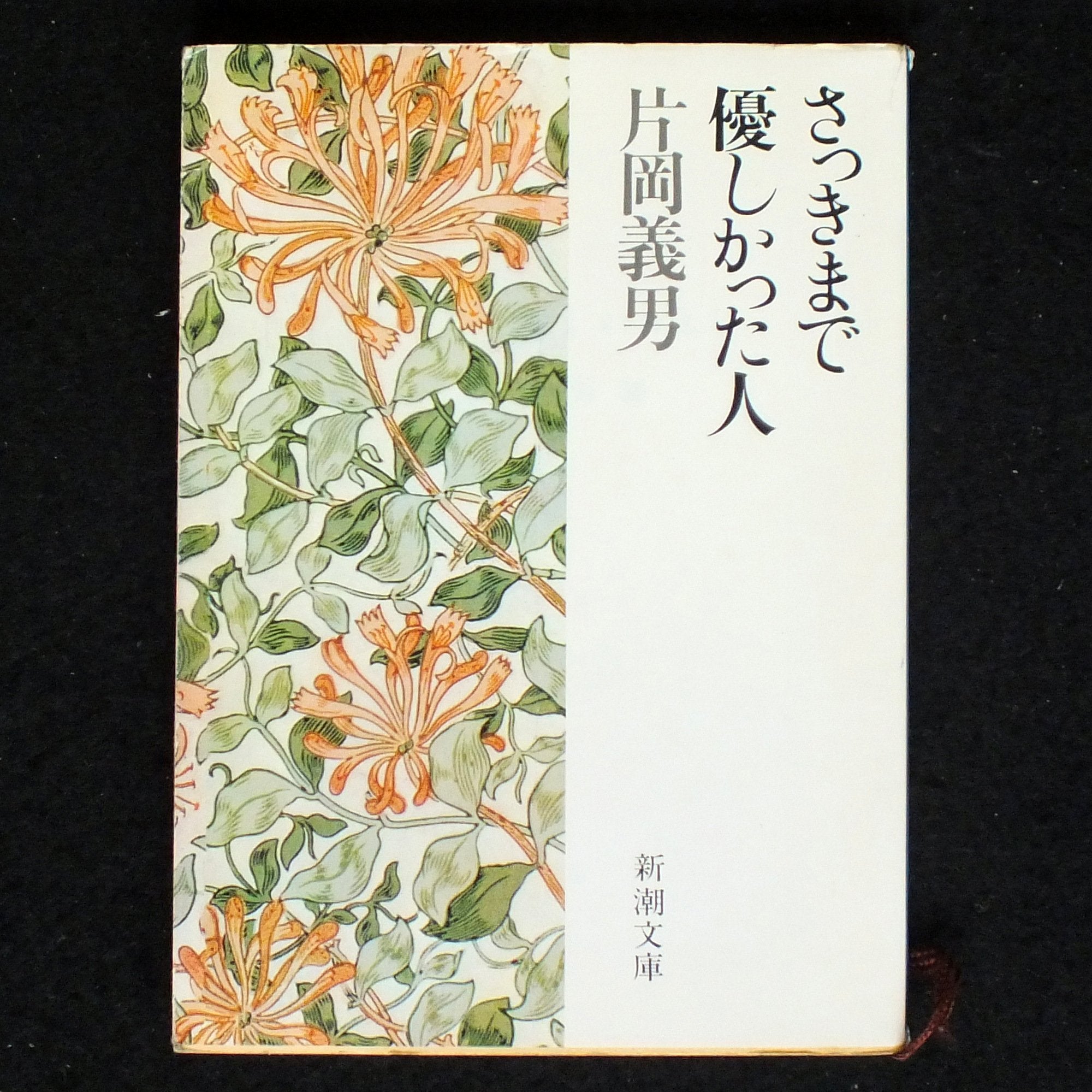 さっきまで優しかった人 (新潮文庫) Books