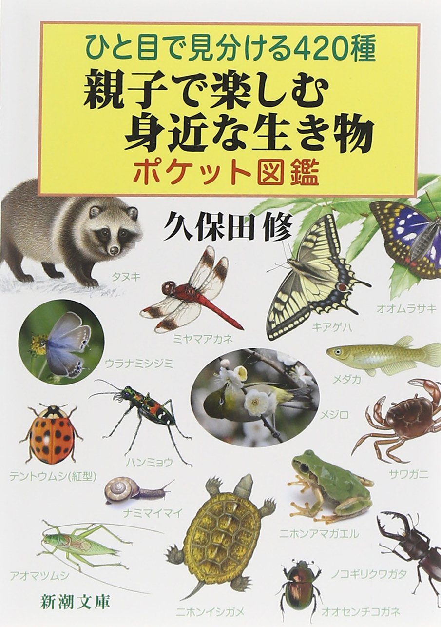 Oyako de tanoshimu mijika na ikimono poketto zukan : hitome de miwakeru yonhyakunijisshu book