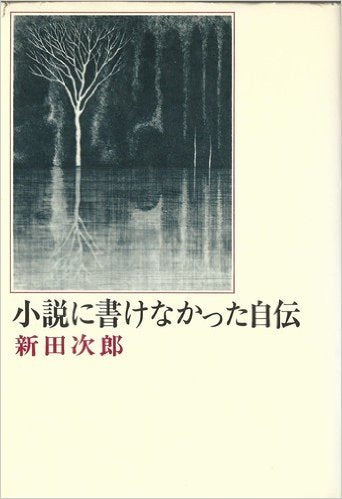 小説に書けなかった自伝 book