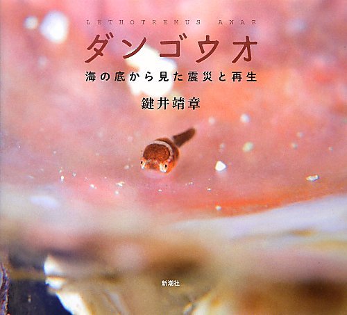 DangoÌ„o : umi no soko kara mita shinsai to saisei book