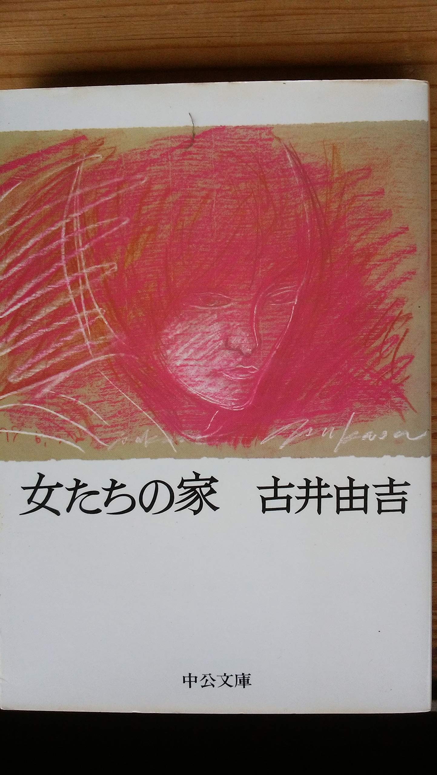 女たちの家 (中公文庫 A 25-2) Books