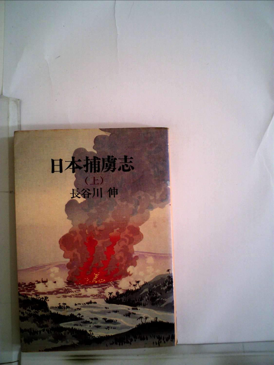日本捕虜志 上 (中公文庫 A 27-3) Books