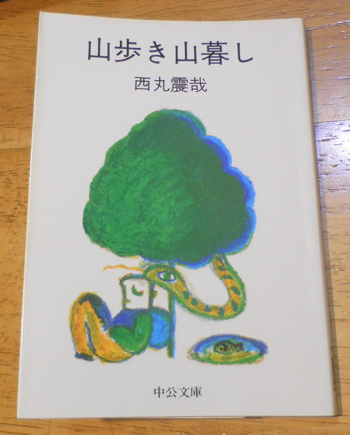 山歩き山暮し (中公文庫) Books