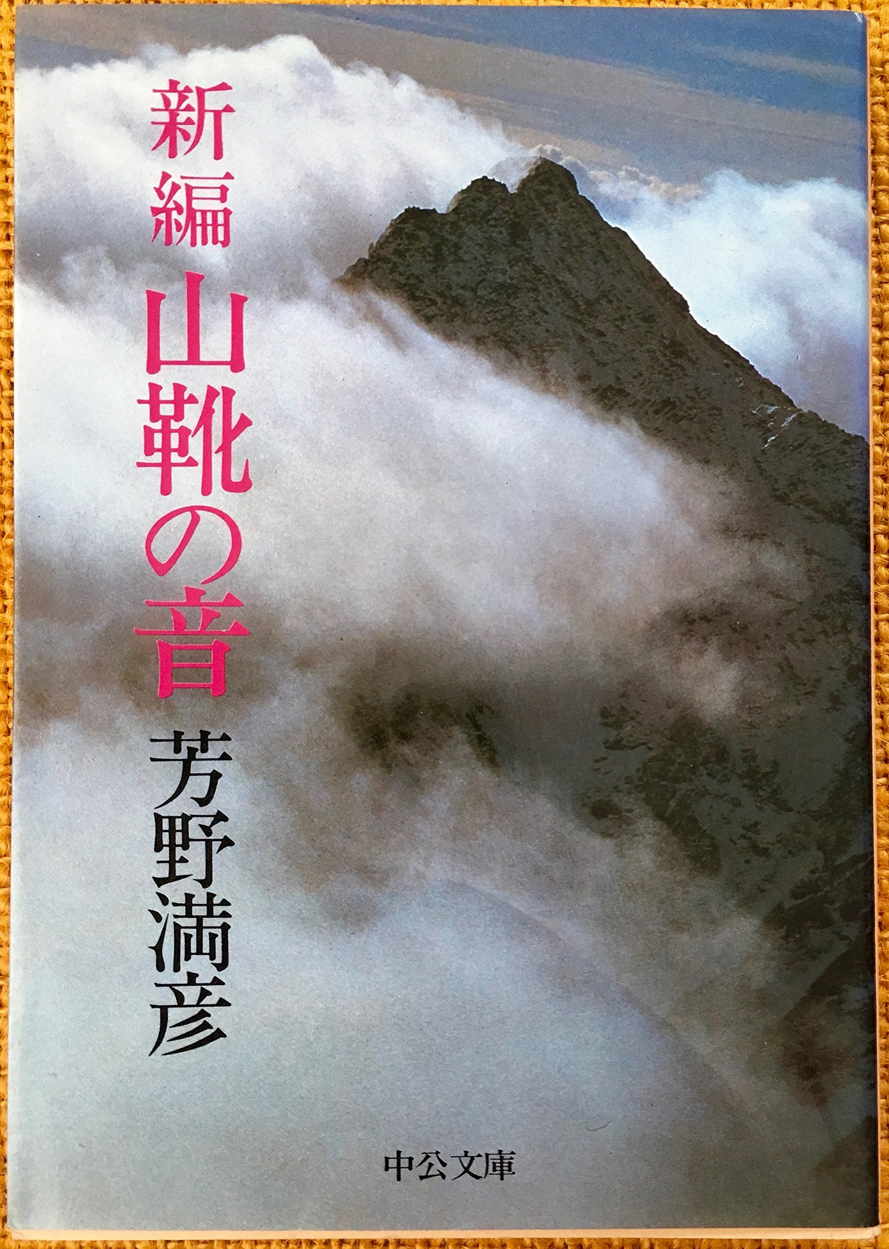 新編山靴の音 (中公文庫 M 146) Books