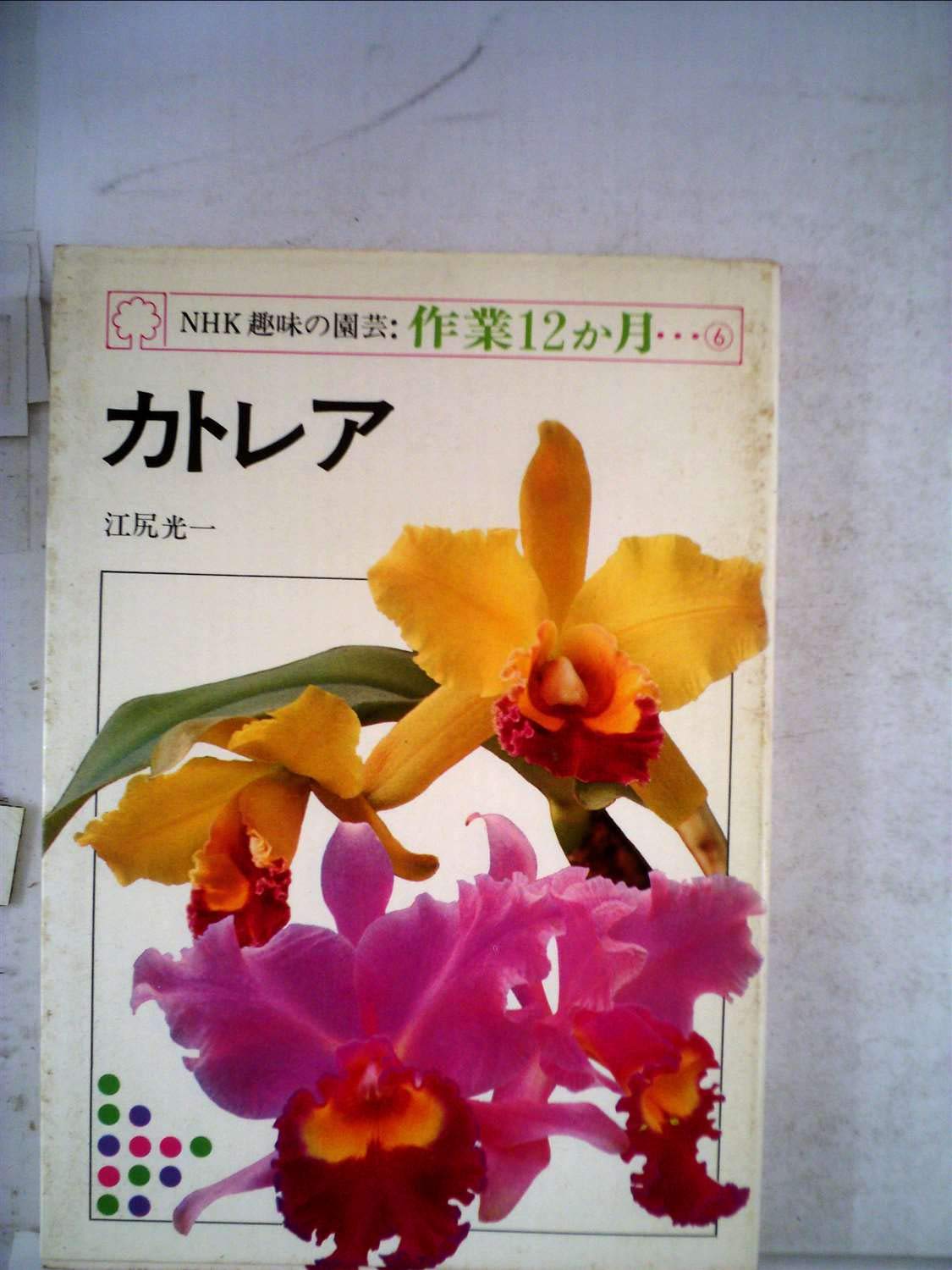 NHK趣味の園芸・作業12か月 6 カトレア Books