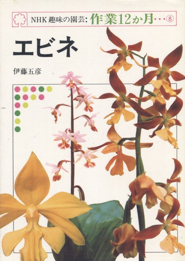 NHK趣味の園芸・作業12か月 8 エビネ Books