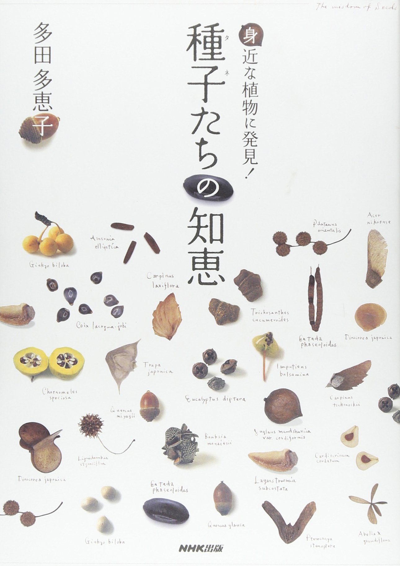 身近な植物に発見! 種子(タネ)たちの知恵 book