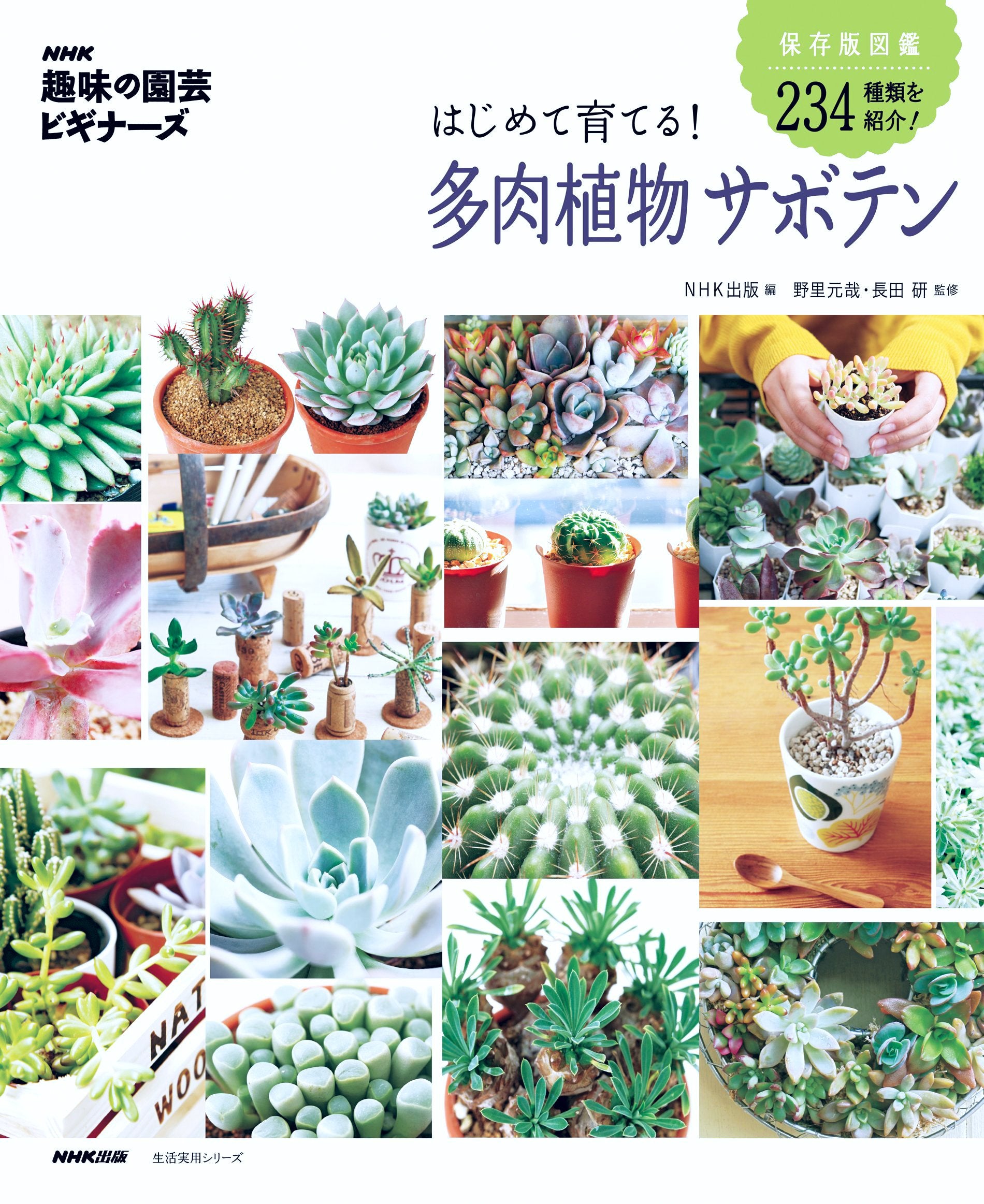 Hajimete sodateru taniku shokubutsu saboten : hozonban zukan nihyakusanjuÌ„yon shurui o shoÌ„kai book