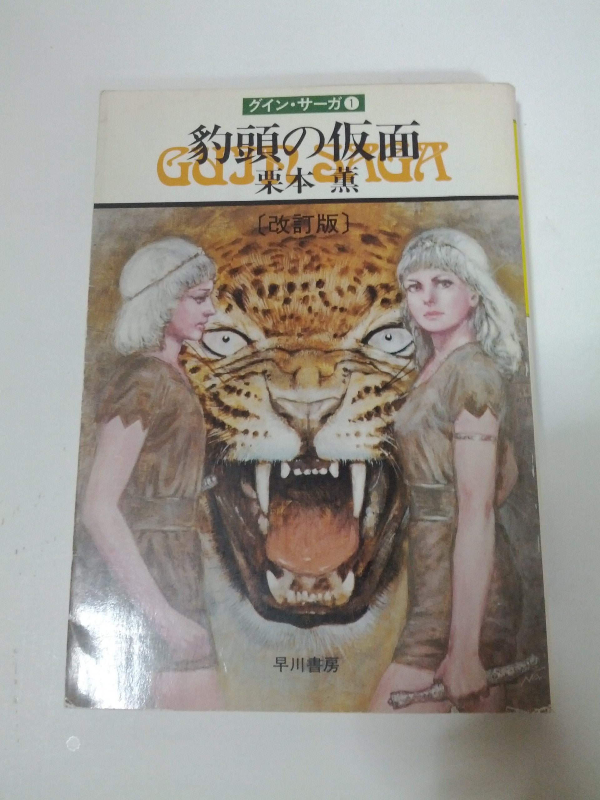 HyoÌ„toÌ„ no kamen = Person of panther Books