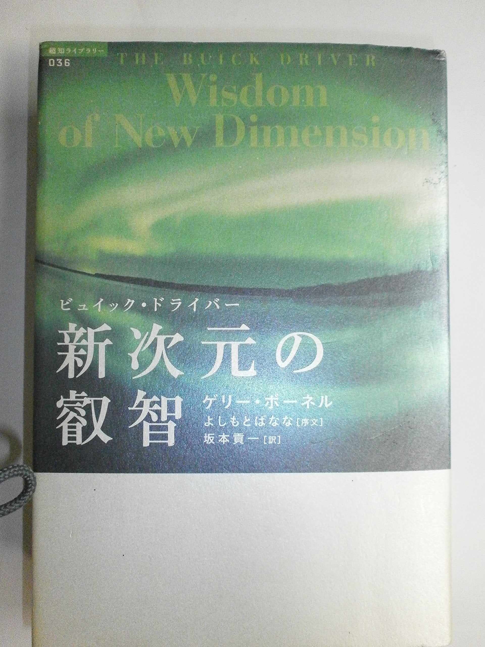 Shinjigen no eichi : byuikku doraibaÌ„ book