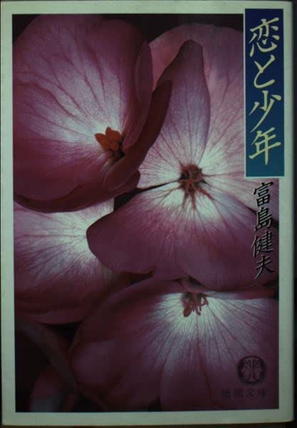 恋と少年 (徳間文庫) Books