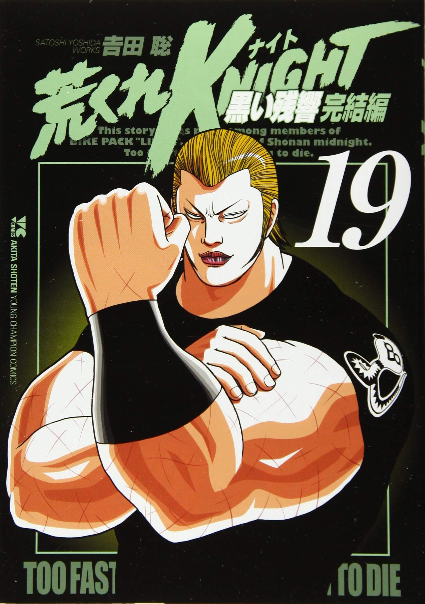 荒くれKNIGHT黒い残響完結編 19 (ヤングチャンピオンコミックス) book