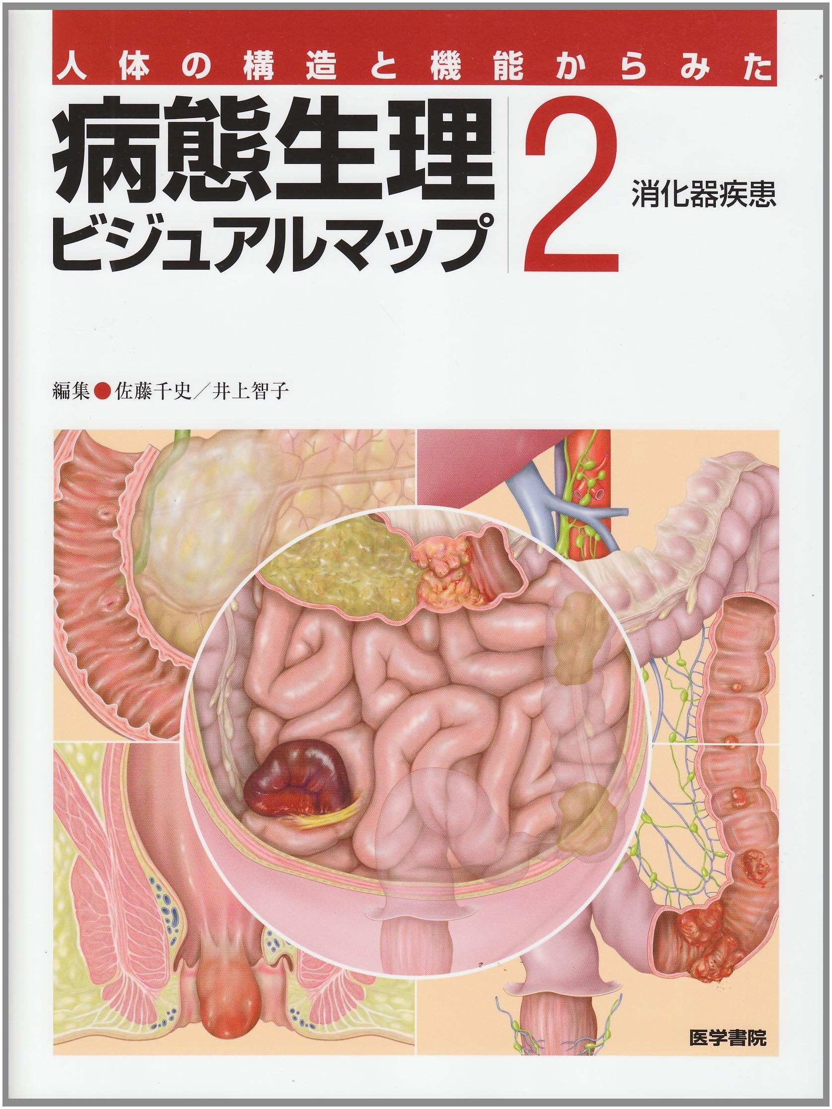ç—…æ…‹ç”Ÿç†ãƒ“ã‚¸ãƒ¥ã‚¢ãƒ«ãƒžãƒƒãƒ— 2â€•人ä½“ã®æ§‹é€ ã¨æ©Ÿèƒ½ã‹ã‚‰ã¿ãŸ æ¶ˆåŒ–å™¨ç–¾æ‚£ Books