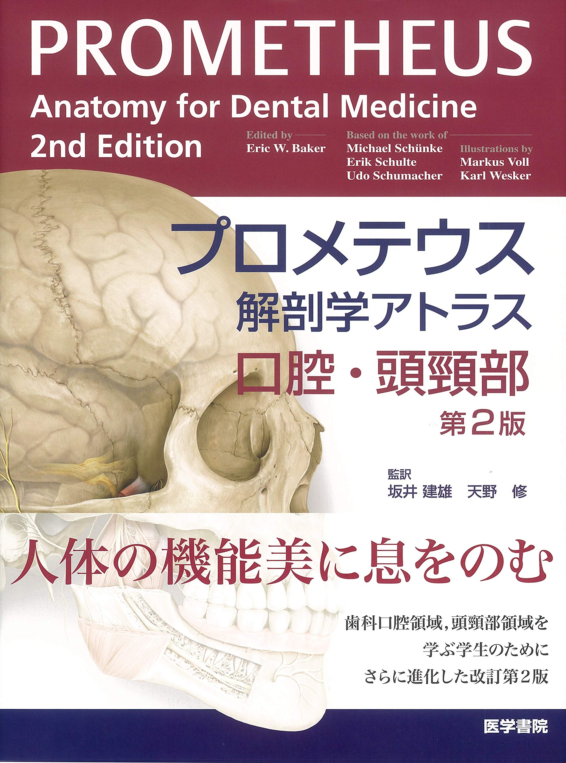 プロメテウス解剖学アトラス 口腔・頭頸部 第2版 Books