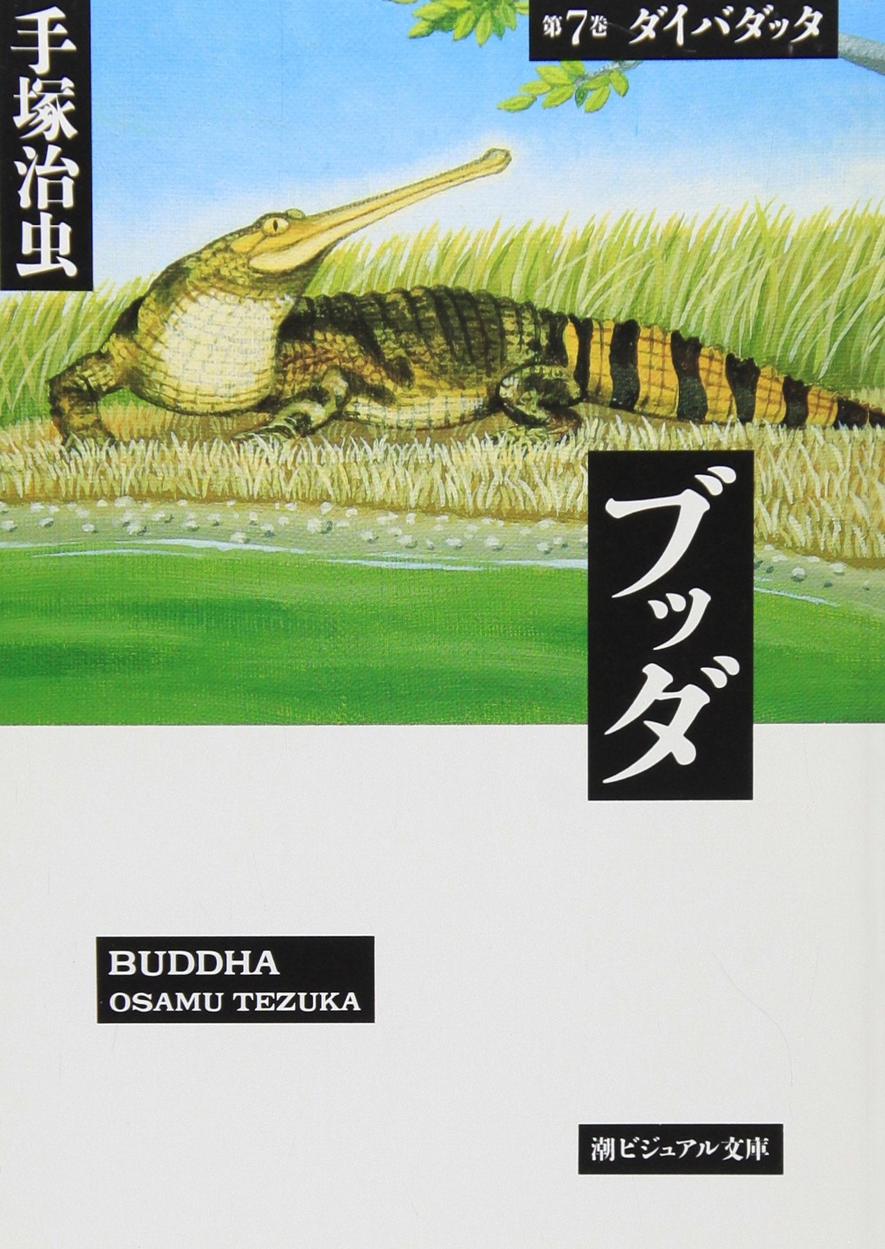 ブッダ (第7巻) (潮ビジュアル文庫) Books