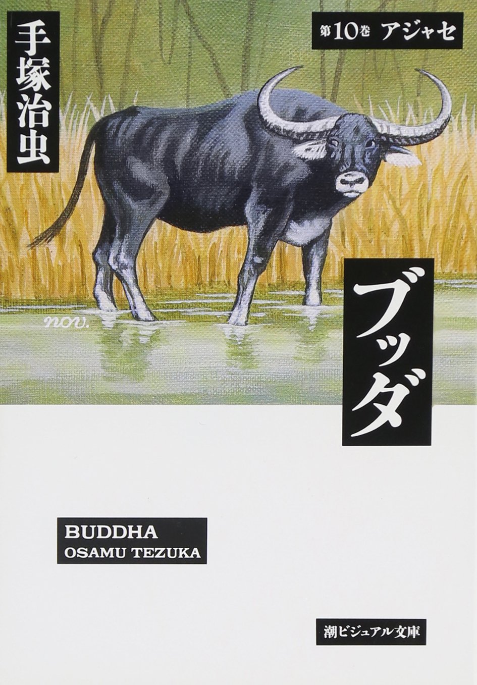 ブッダ (第10巻) (潮ビジュアル文庫) Books