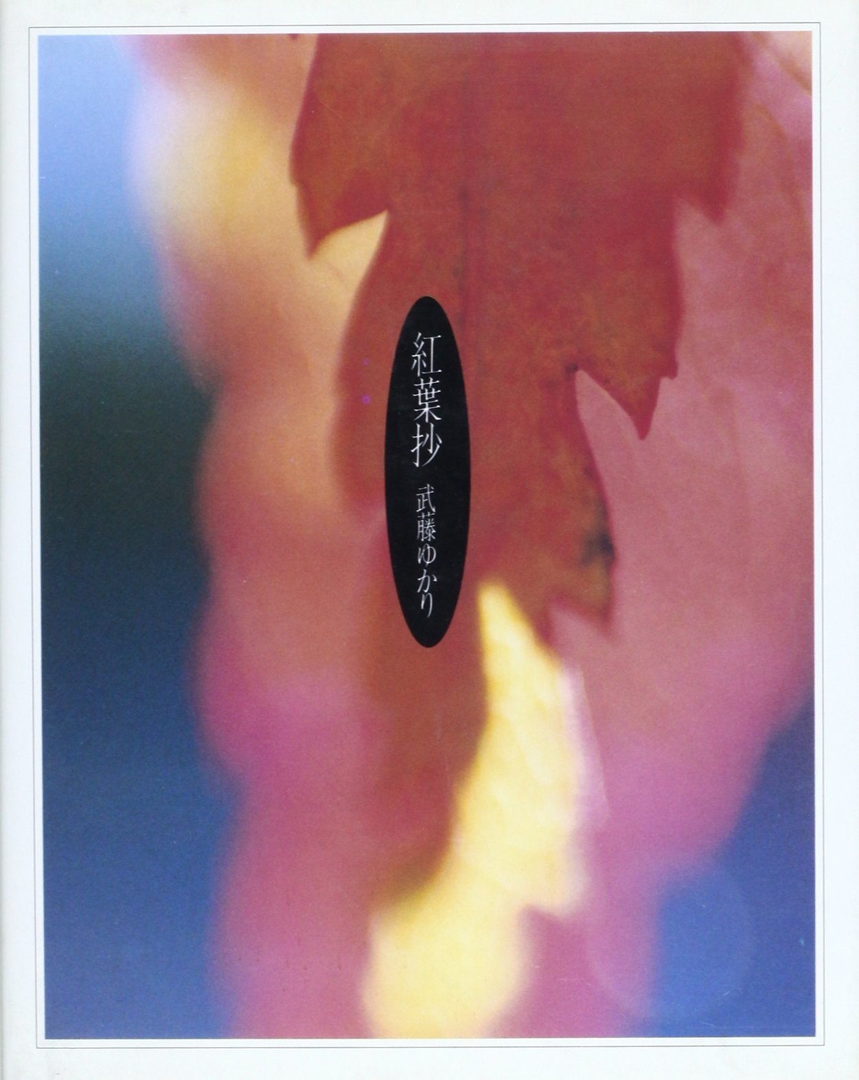 紅葉抄 book