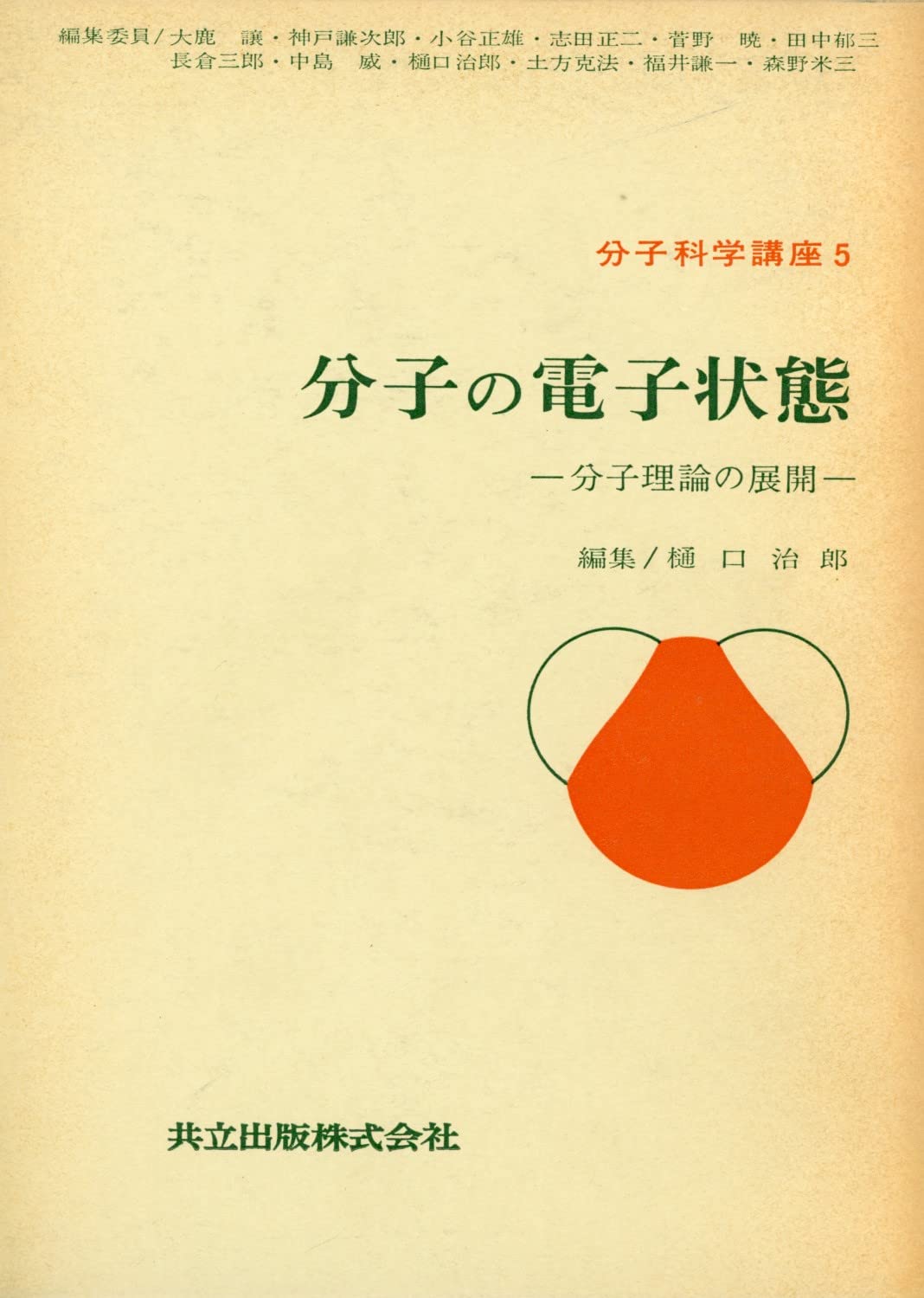 分子の電子状態―分子理論の展開 (分子科学講座) book