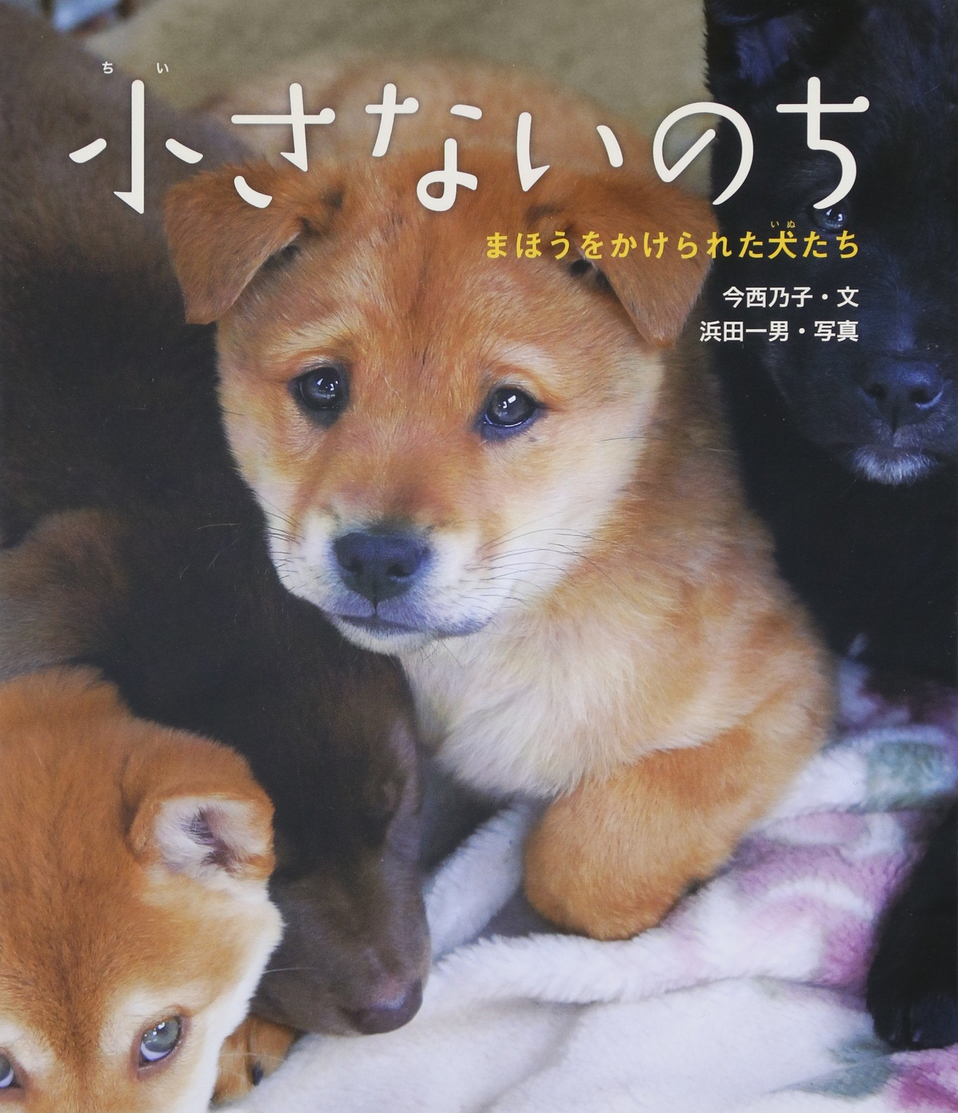 Chiisana inochi : mahoÌ„ o kakerareta inutachi book