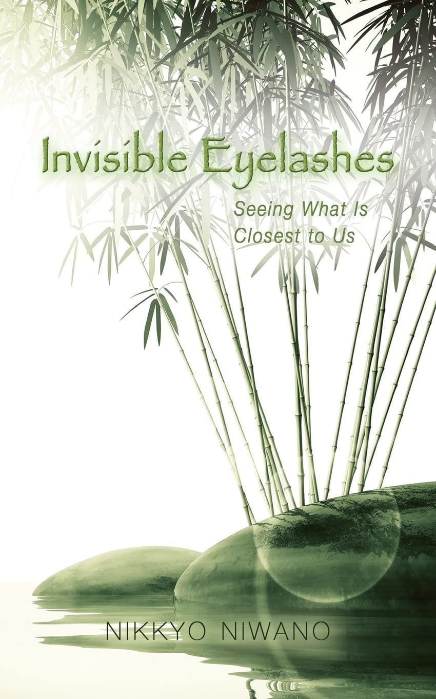 Invisible Eyelashes: Seeing What Is Closest to Us Philosophy